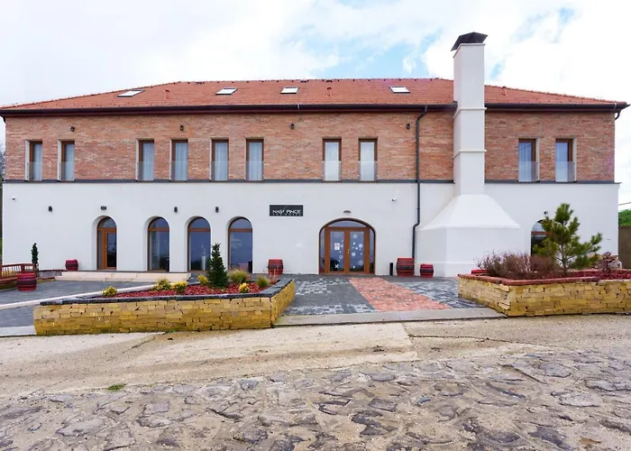 Hotel Nagypince Borhotel Wine And Bohonye